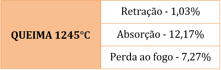 Captura de tela 2025-10-17 132816.png